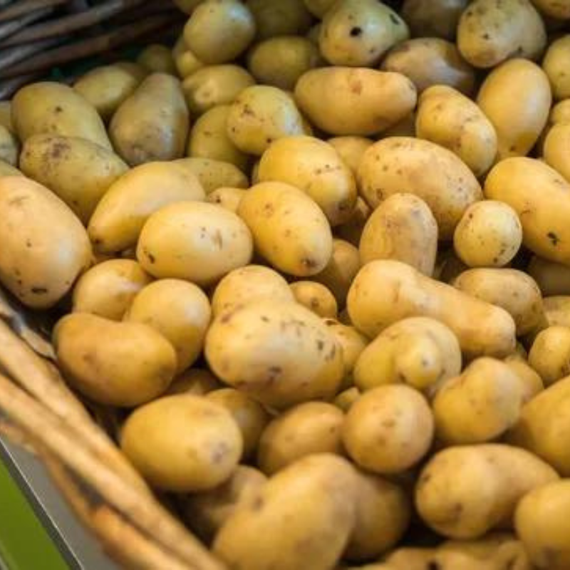 Pomme de Terre Grenaille