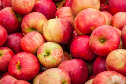 Pomme Braeburn