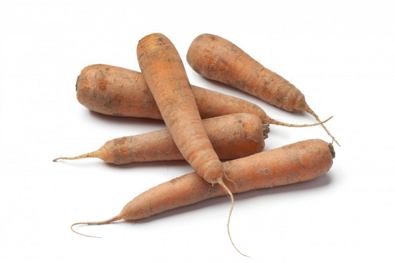 Carottes
