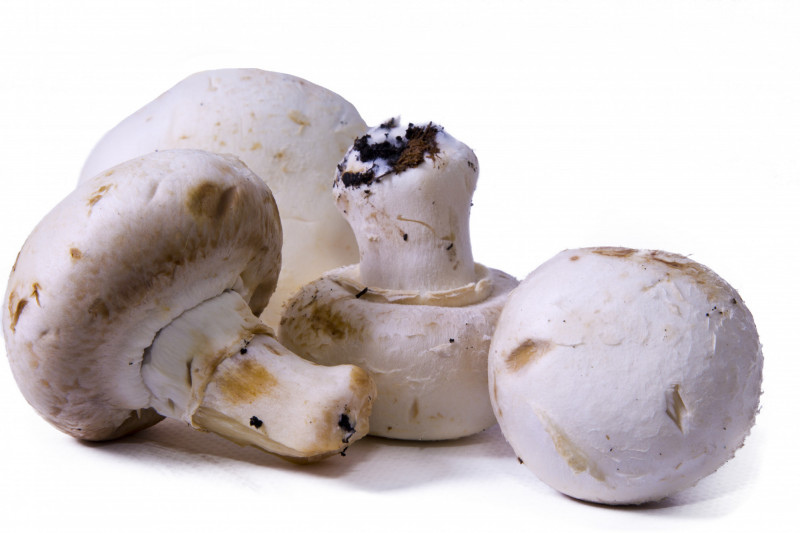 Champignons de Paris