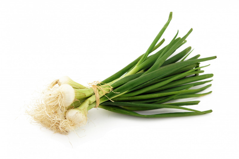 Oignon Blanc Botte