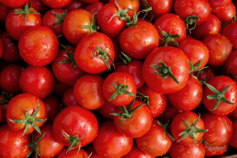 Tomate Ronde