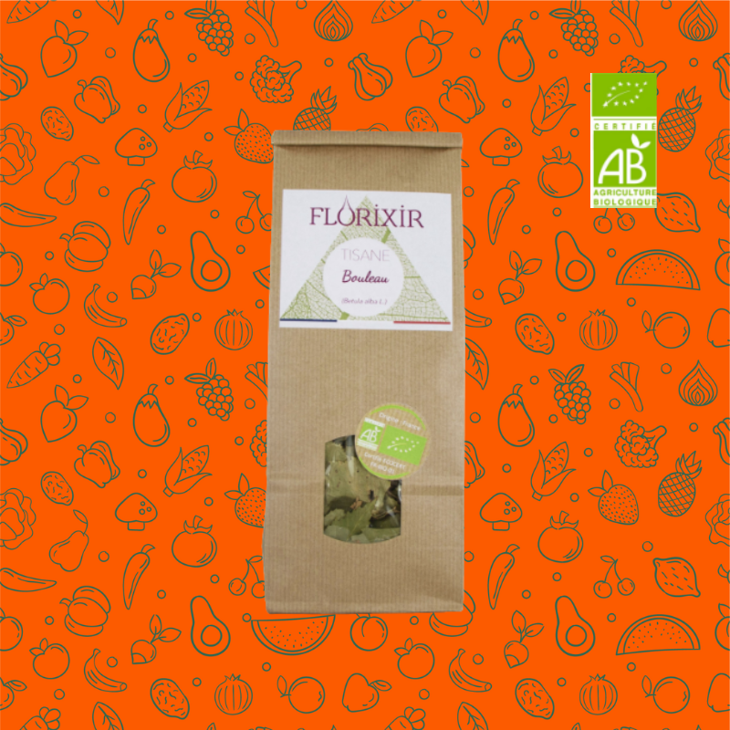 Tisane Bouleau