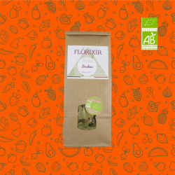 Tisane Bouleau